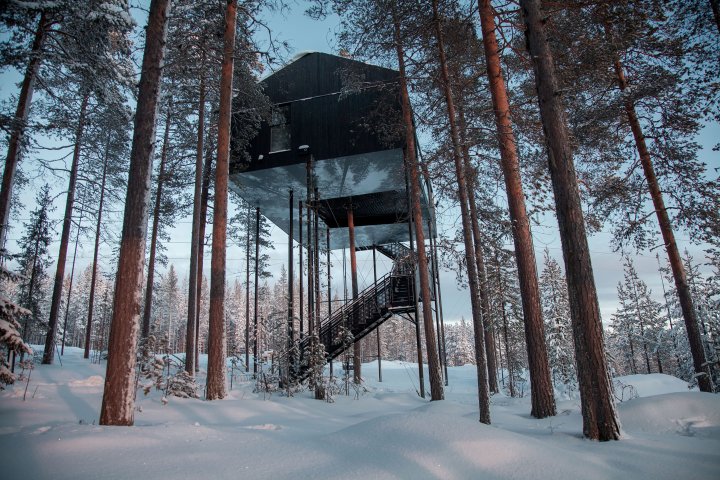 TREEHOTEL, SWEDEN